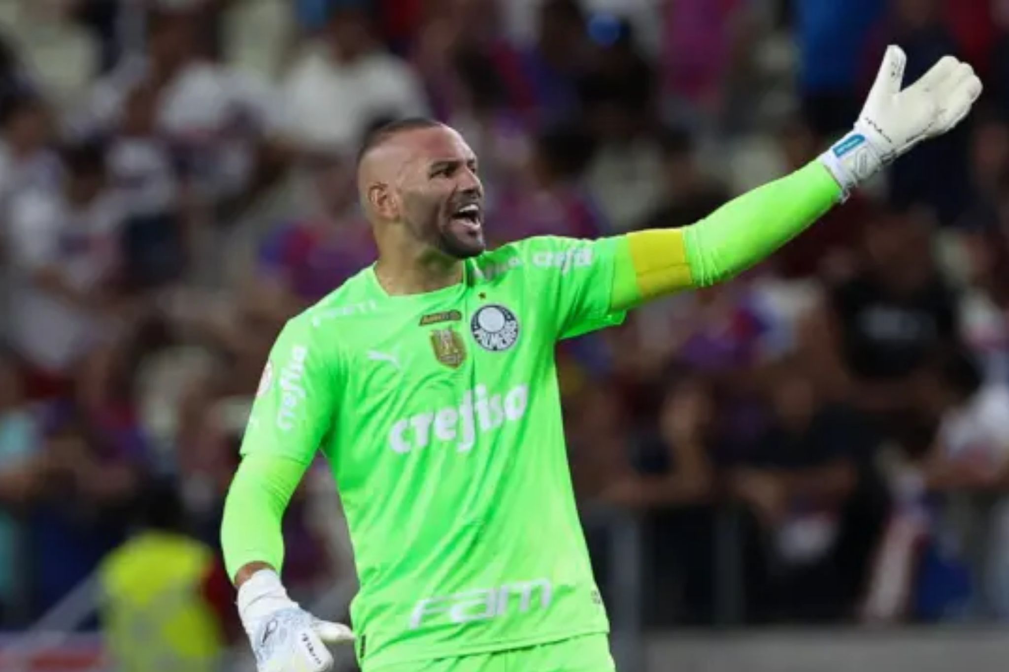 A declaração de Weverton após classificação do Palmeiras na Libertadores: “Vamos tentar…”