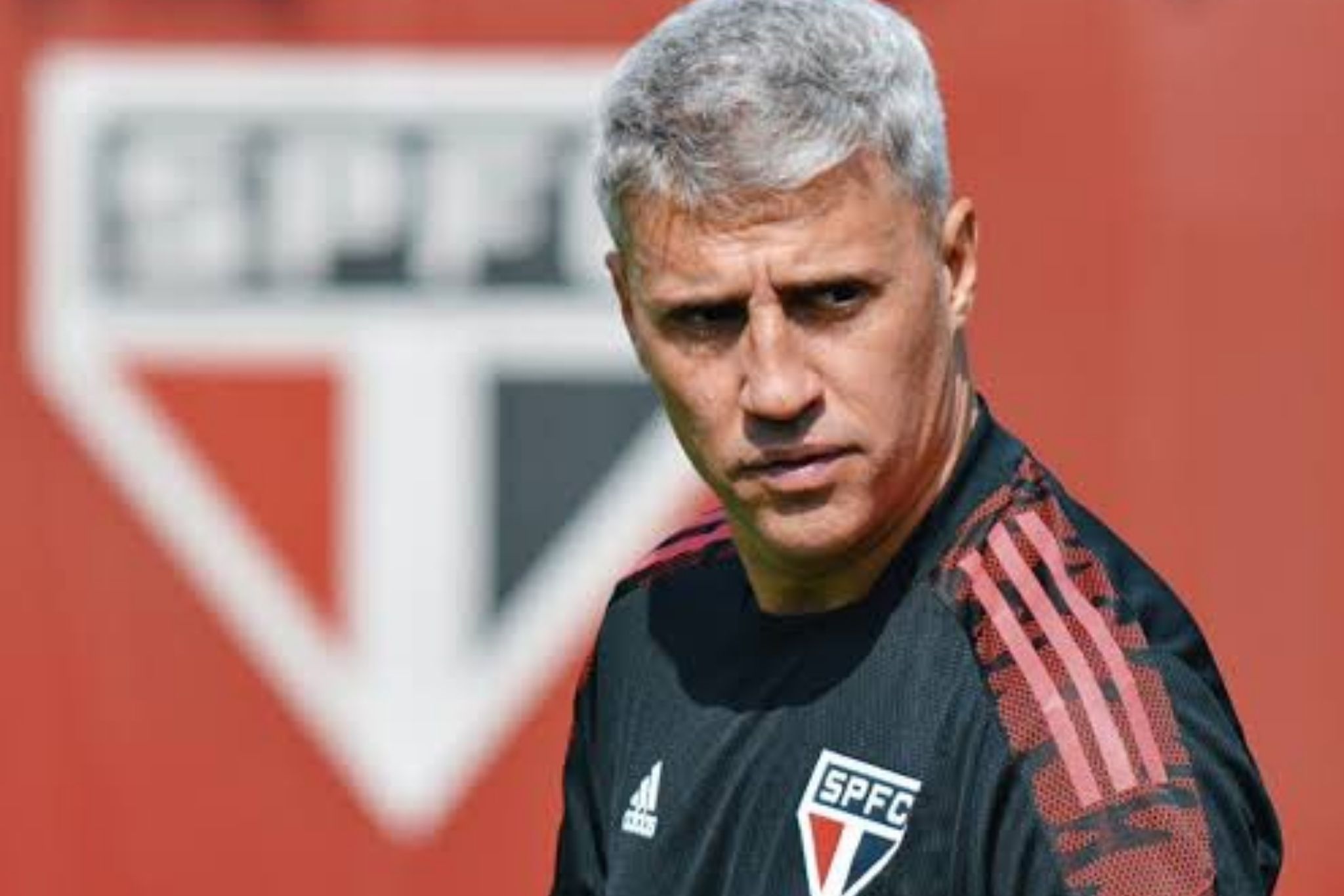 Botafogo ou LDU? Veja a declaração de Crespo, do São Paulo, sobre possível adversário na Libertadores