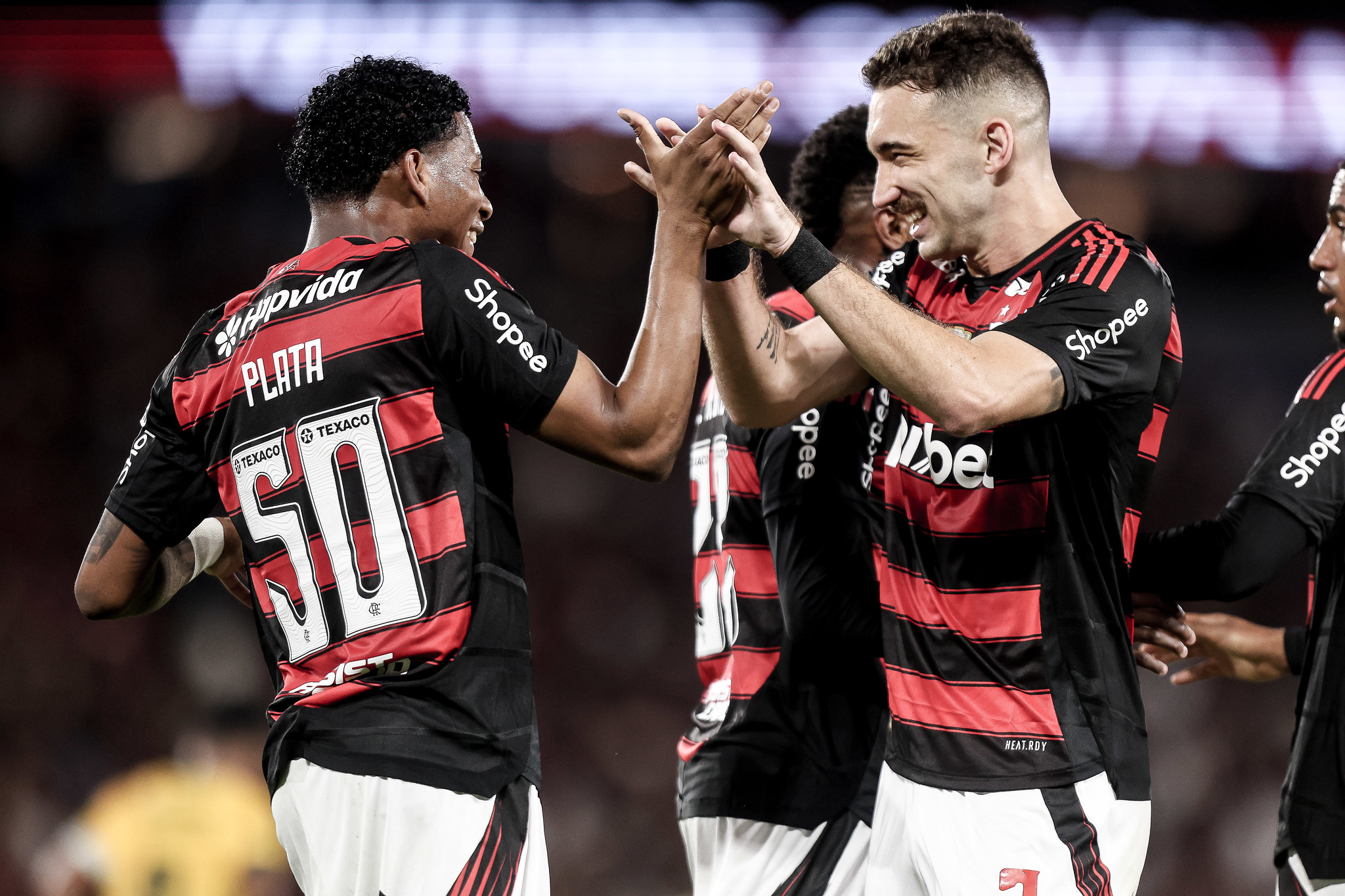 Flamengo x Mirassol
