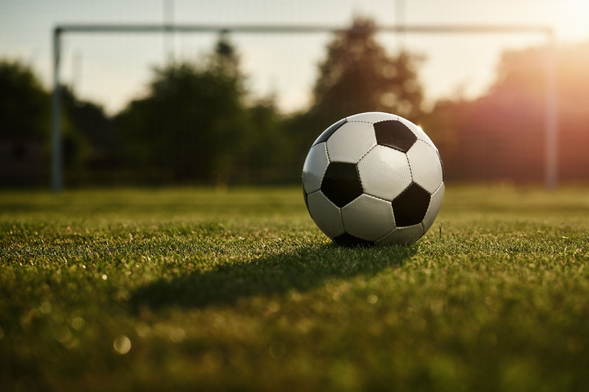 Jogadores de Bota e Fla são monitorados por times da Itália