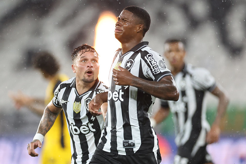 botafogo sport