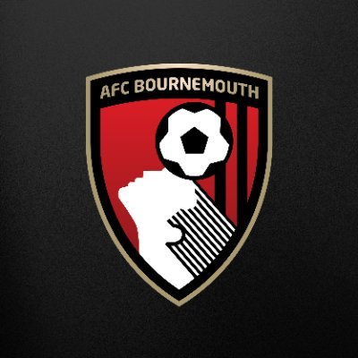 Foto: Divulgação /Bournemouth.