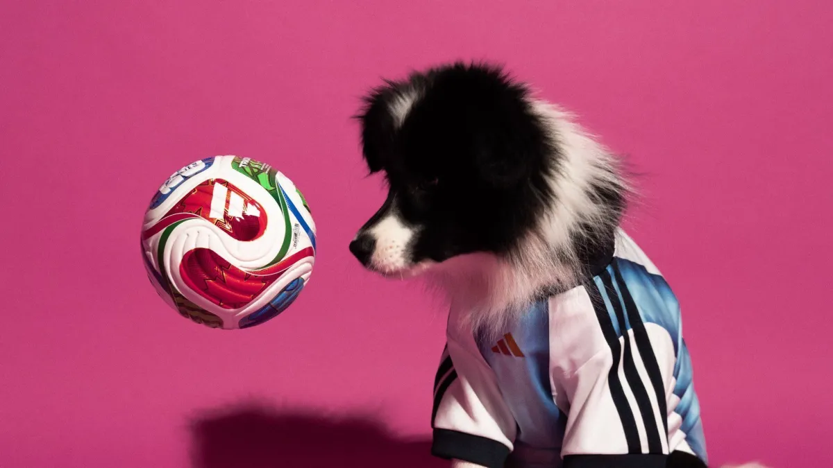Adidas lança uniformes de seleções para pets e leva a torcida a outro nível